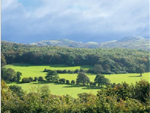 The Druid Inn Llanferres Esterno foto
